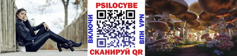 Купить  Кондопога  Псилоцибиновые грибы Psilocybine cubensis 